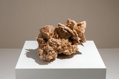 Large Desert Rose from Tunesia