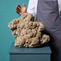 Large Desert Rose Selenite Crystal Formation