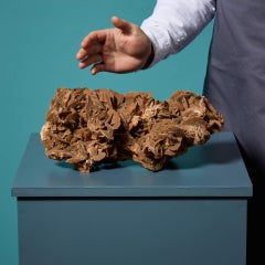 Large Desert Rose Selenite Crystal Formation
