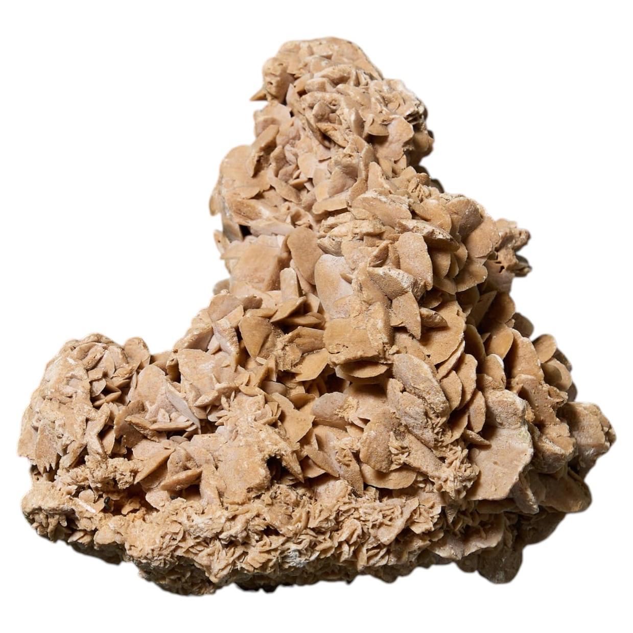 Large Desert Rose Selenite Crystal Formation