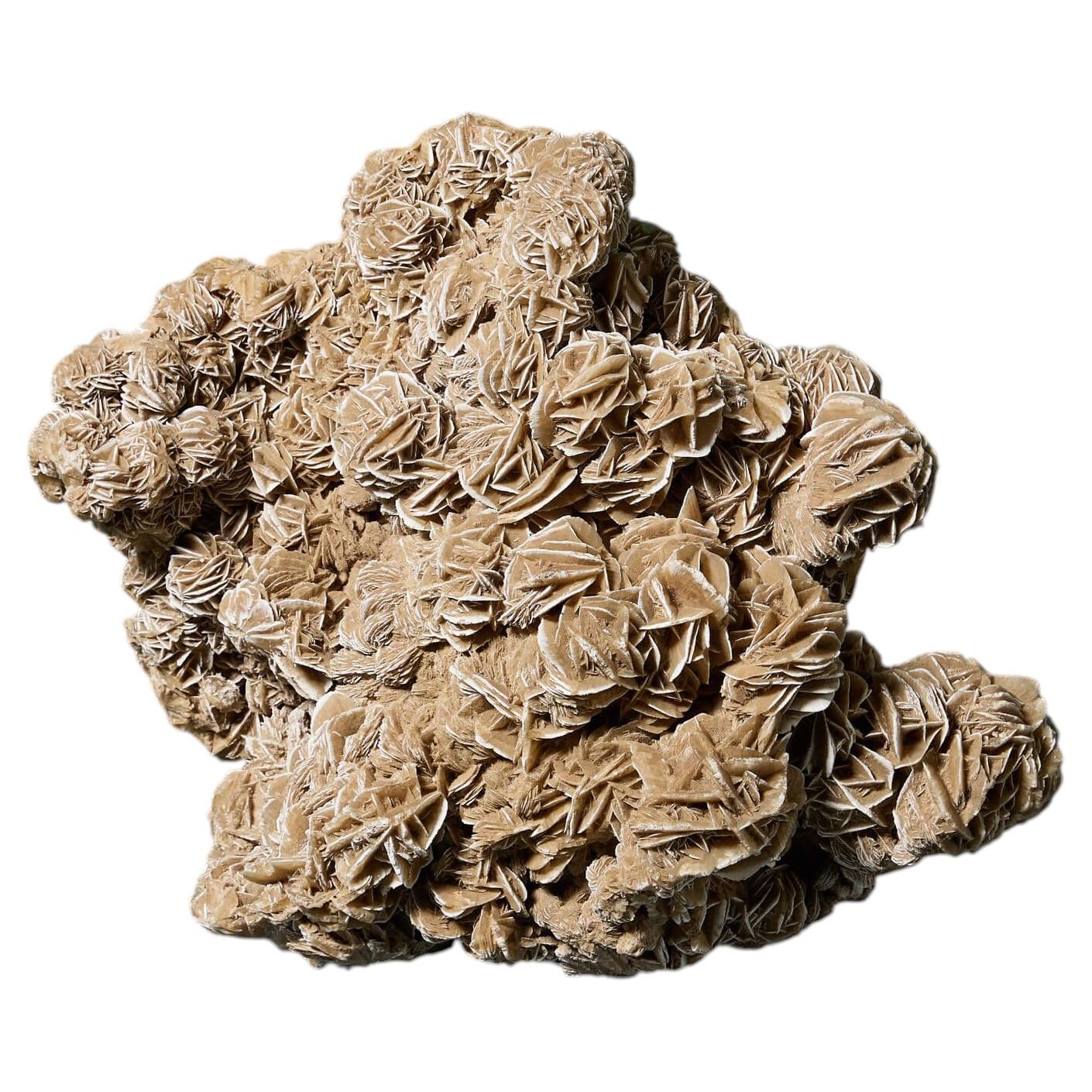 Large Desert Rose Selenite Crystal Formation