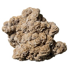 Large Desert Rose Selenite Crystal Formation