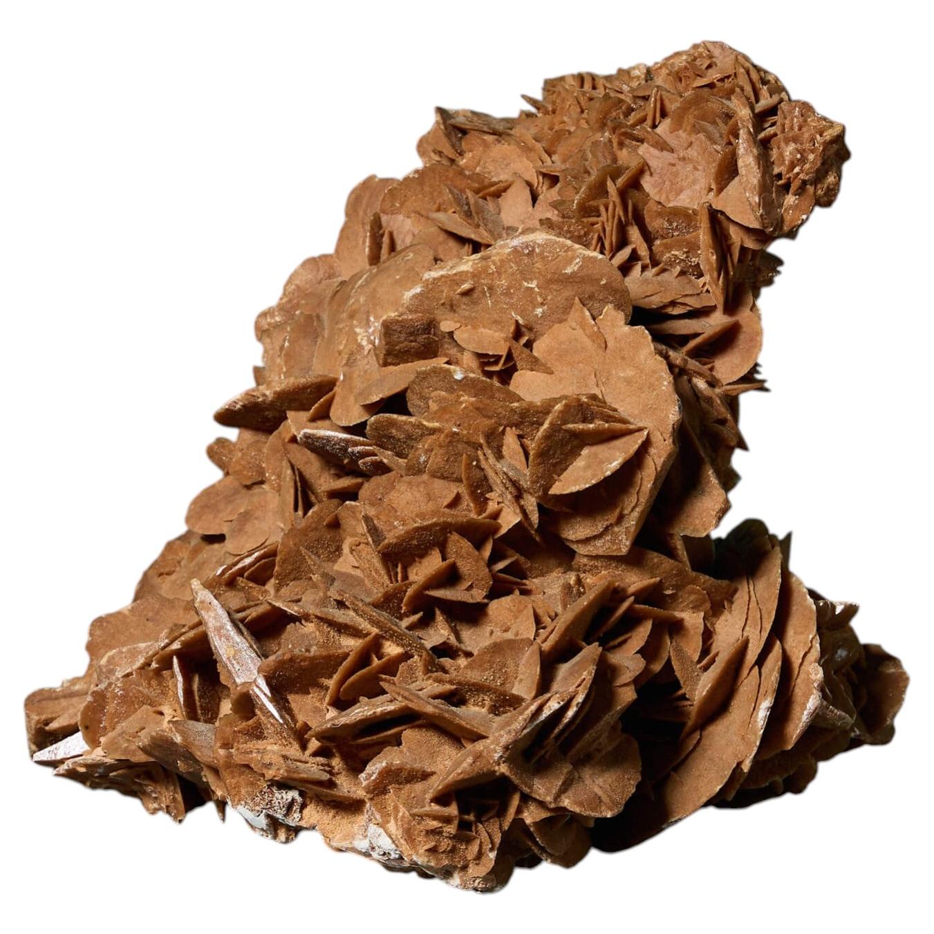 Large Desert Rose Selenite Crystal Formation