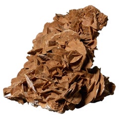 Large Desert Rose Selenite Crystal Formation