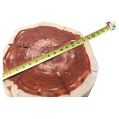 Large Diameter Natural Stump Table