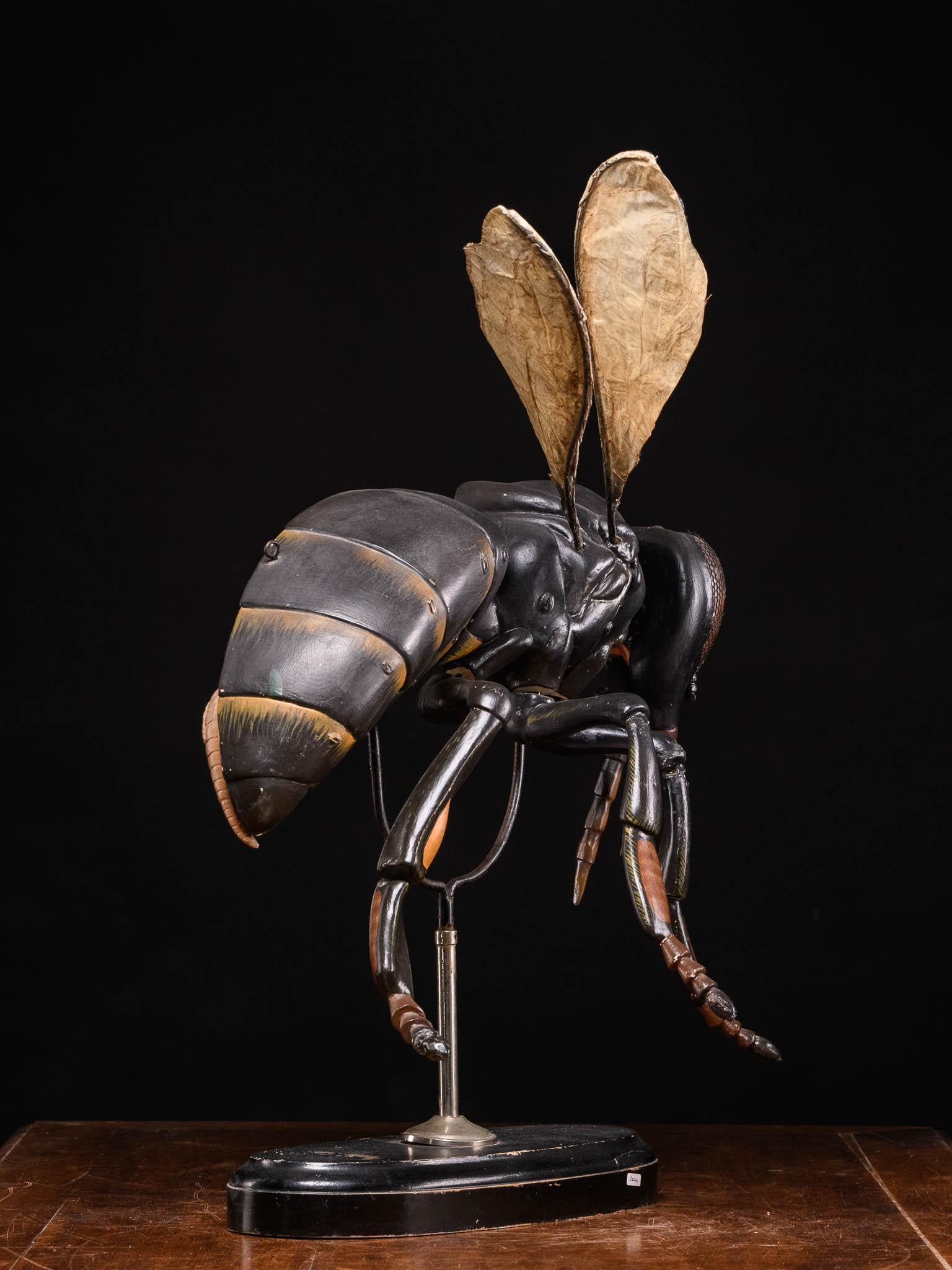 Large Didactical Model of a Bee labeled “ Denoyer-Geppert Company of Chicago 