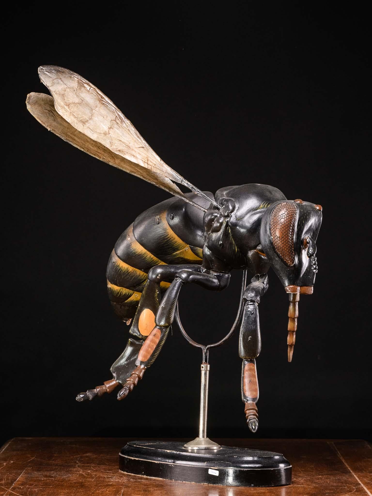 German Large Didactical Model of a Bee labeled “ Denoyer-Geppert Company of Chicago 