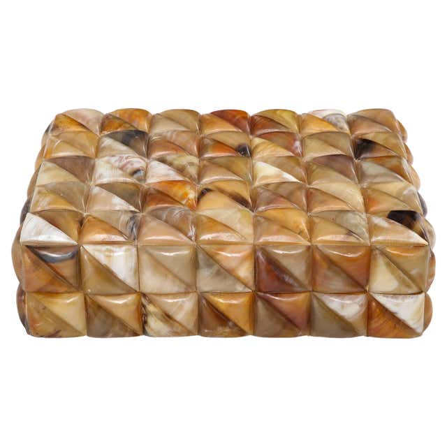XL Polished Horn Rectangular Segment Box For Sale at 1stDibs