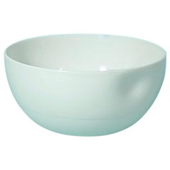 Grand bol en porcelaine échantillonnée en biscuit mat