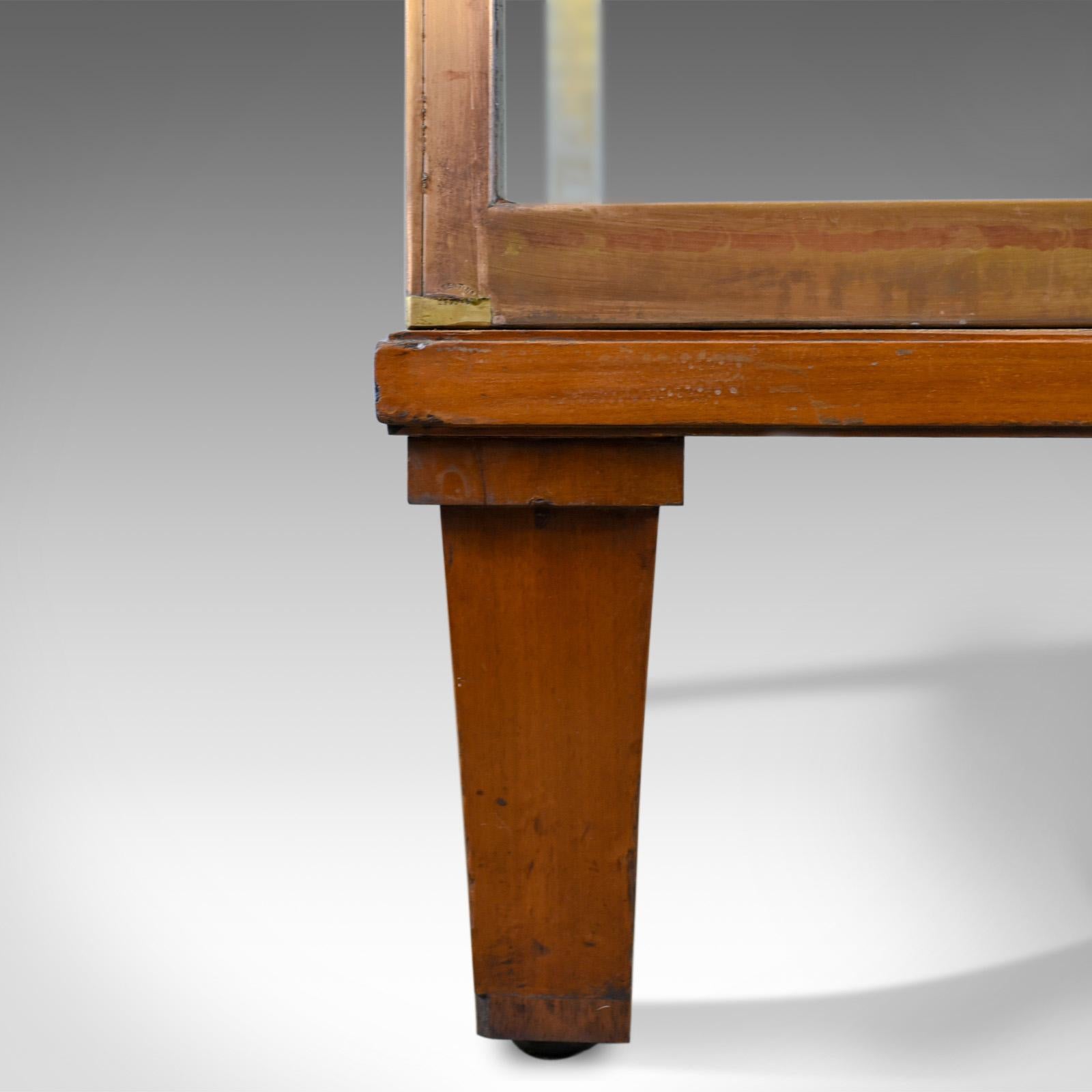 Large Display Case, Bronze, Museum Quality, Showcase, a. Edmonds and Co