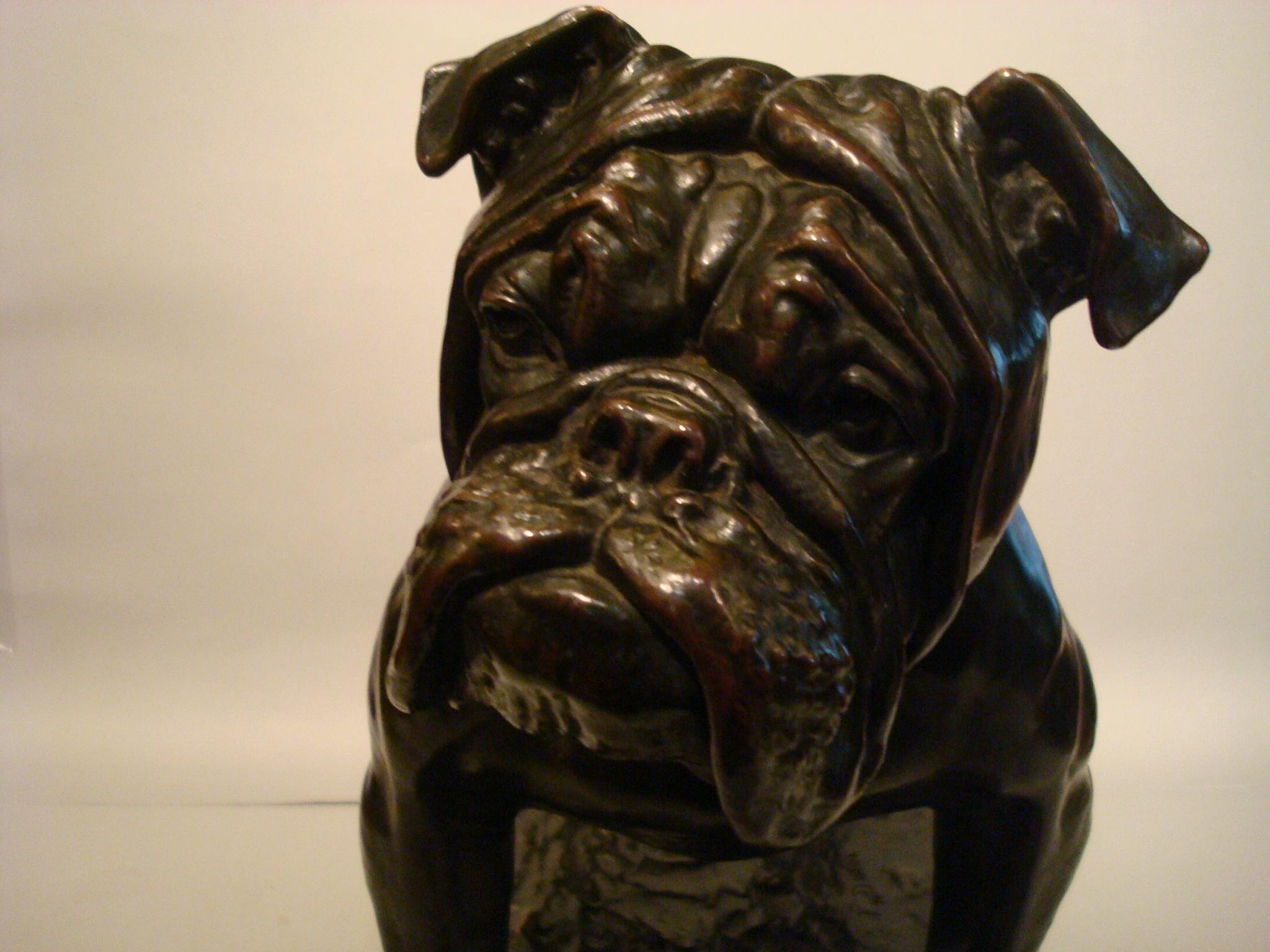 Large Dog English Bulldog Bronze Sculpture, Fritz Diller, Germany, 1910 1