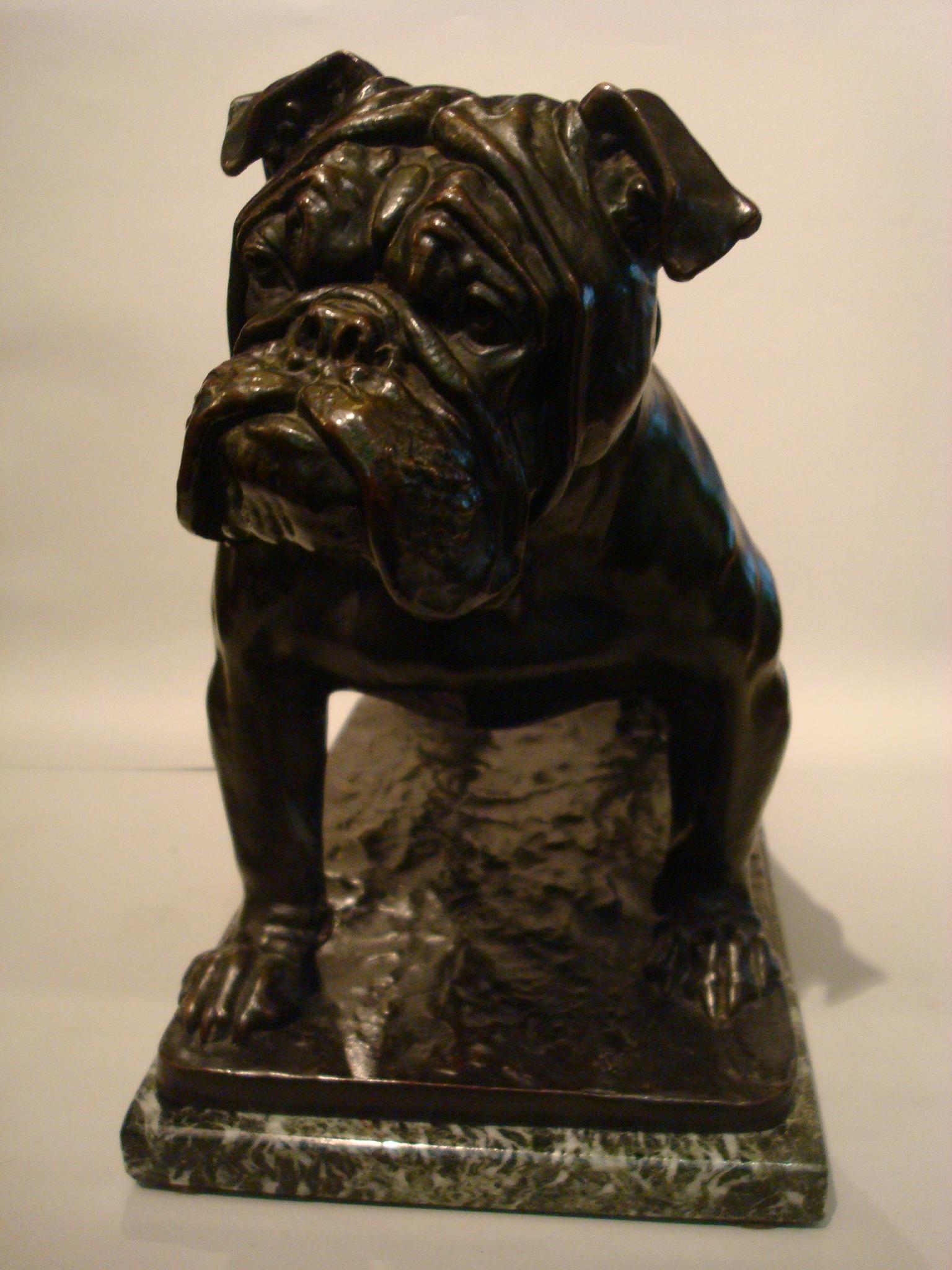 Large Dog English Bulldog Bronze Sculpture, Fritz Diller, Germany, 1910 2