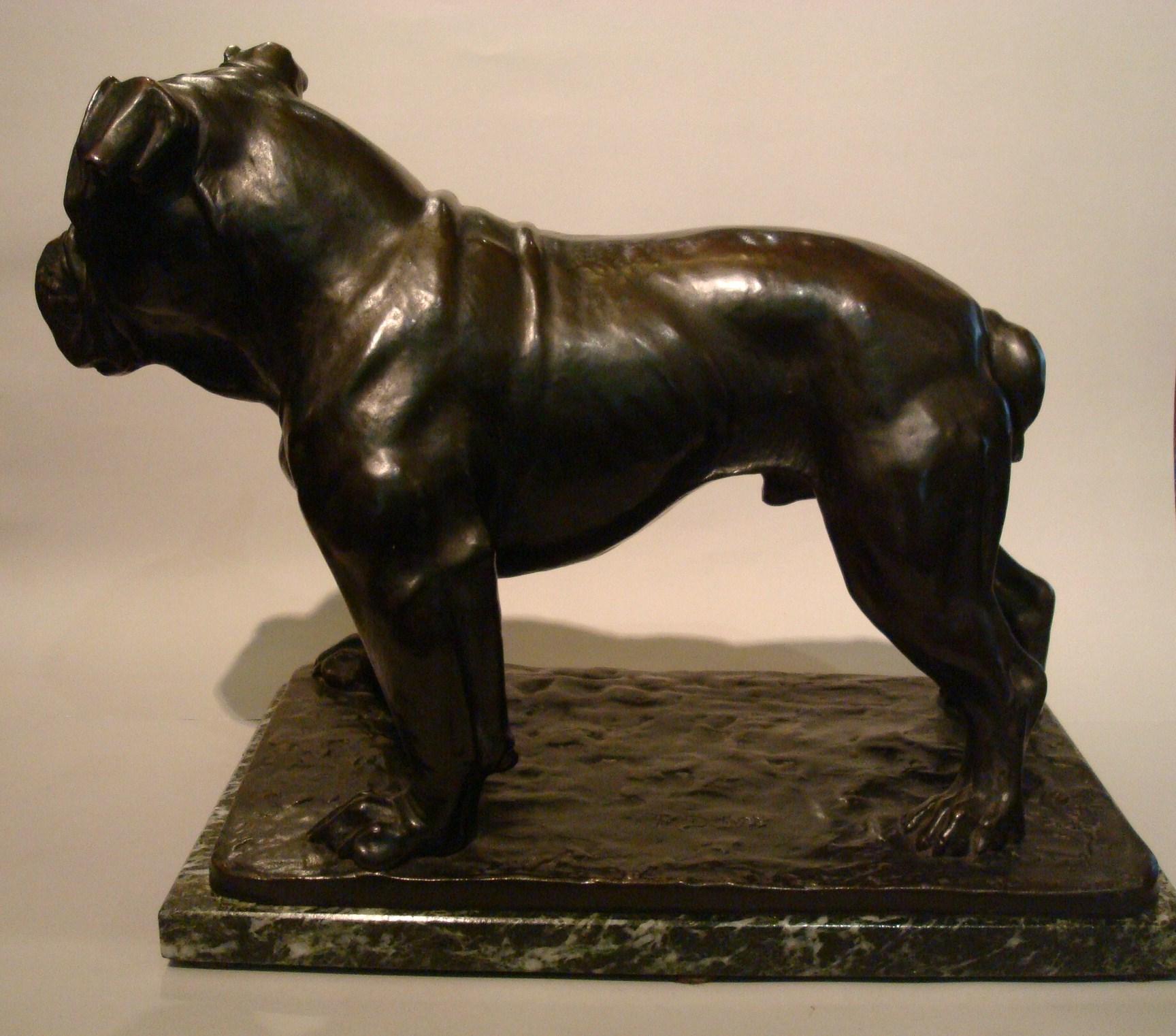 Large Dog English Bulldog Bronze Sculpture, Fritz Diller, Germany, 1910 3