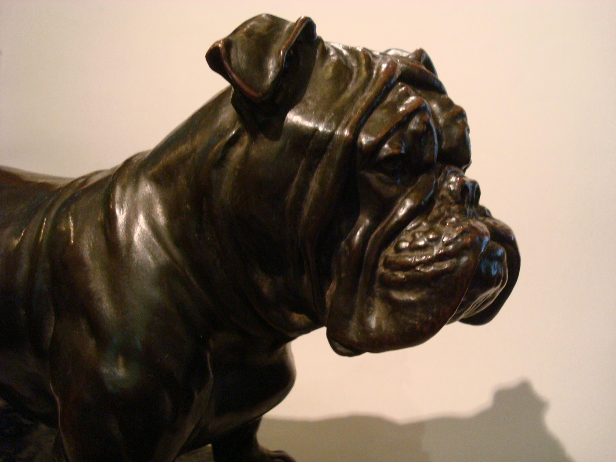 Large Dog English Bulldog Bronze Sculpture, Fritz Diller, Germany, 1910 8