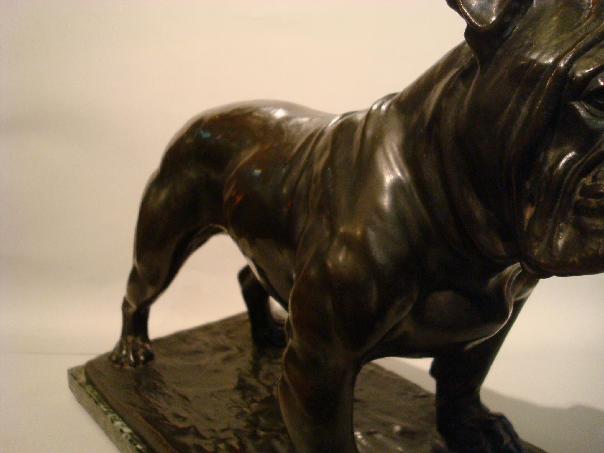 Patinated Large Dog English Bulldog Bronze Sculpture, Fritz Diller, Germany, 1910