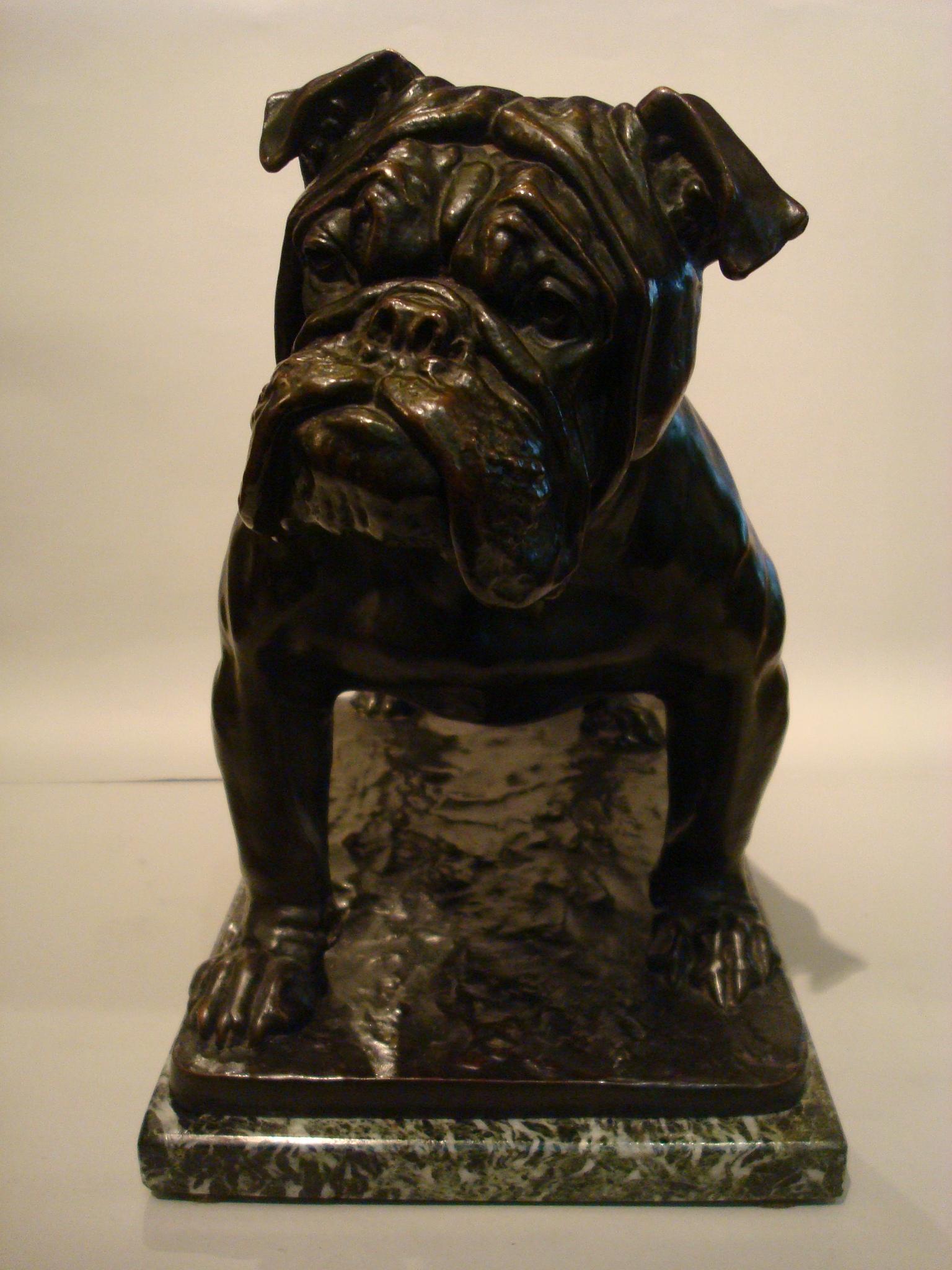 Large Dog English Bulldog Bronze Sculpture, Fritz Diller, Germany, 1910 In Good Condition In Buenos Aires, Olivos