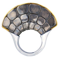 Grande Dorsal Ring in 18k Yellow Gold & Distressed Silver by Elie Top