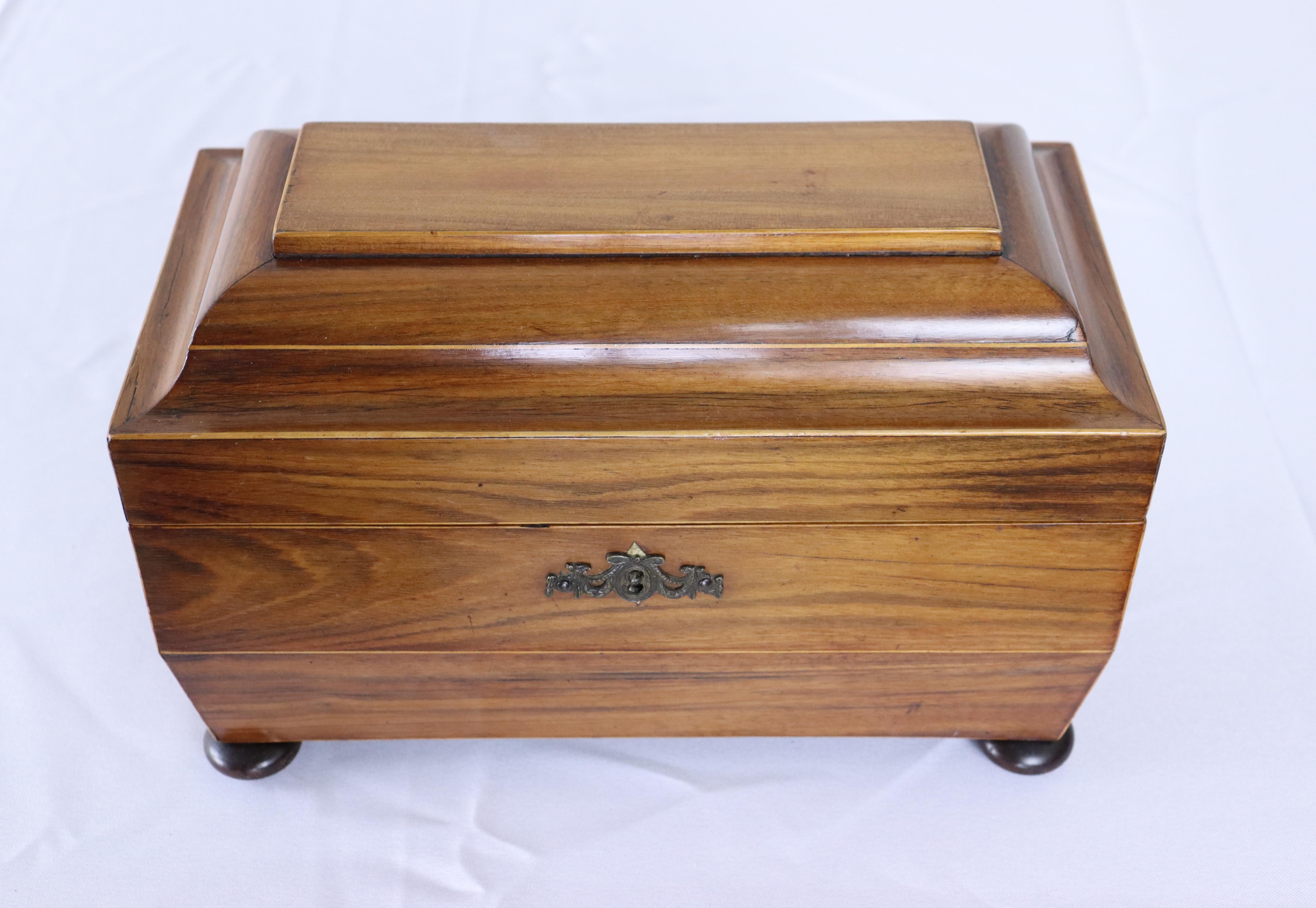 English Large Double Tea Caddy in Mahogany, Satinwood Stringing For Sale