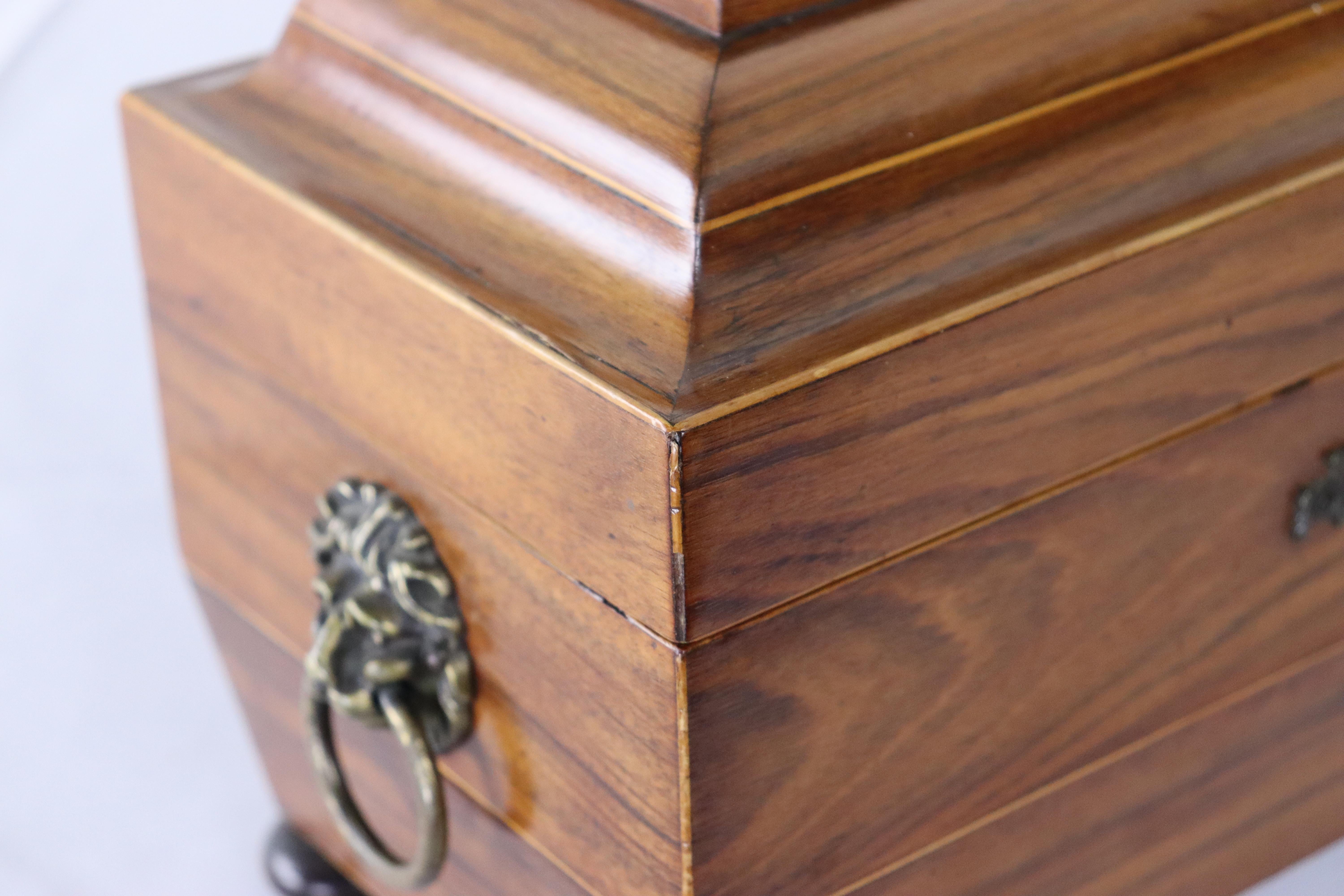Brass Large Double Tea Caddy in Mahogany, Satinwood Stringing For Sale