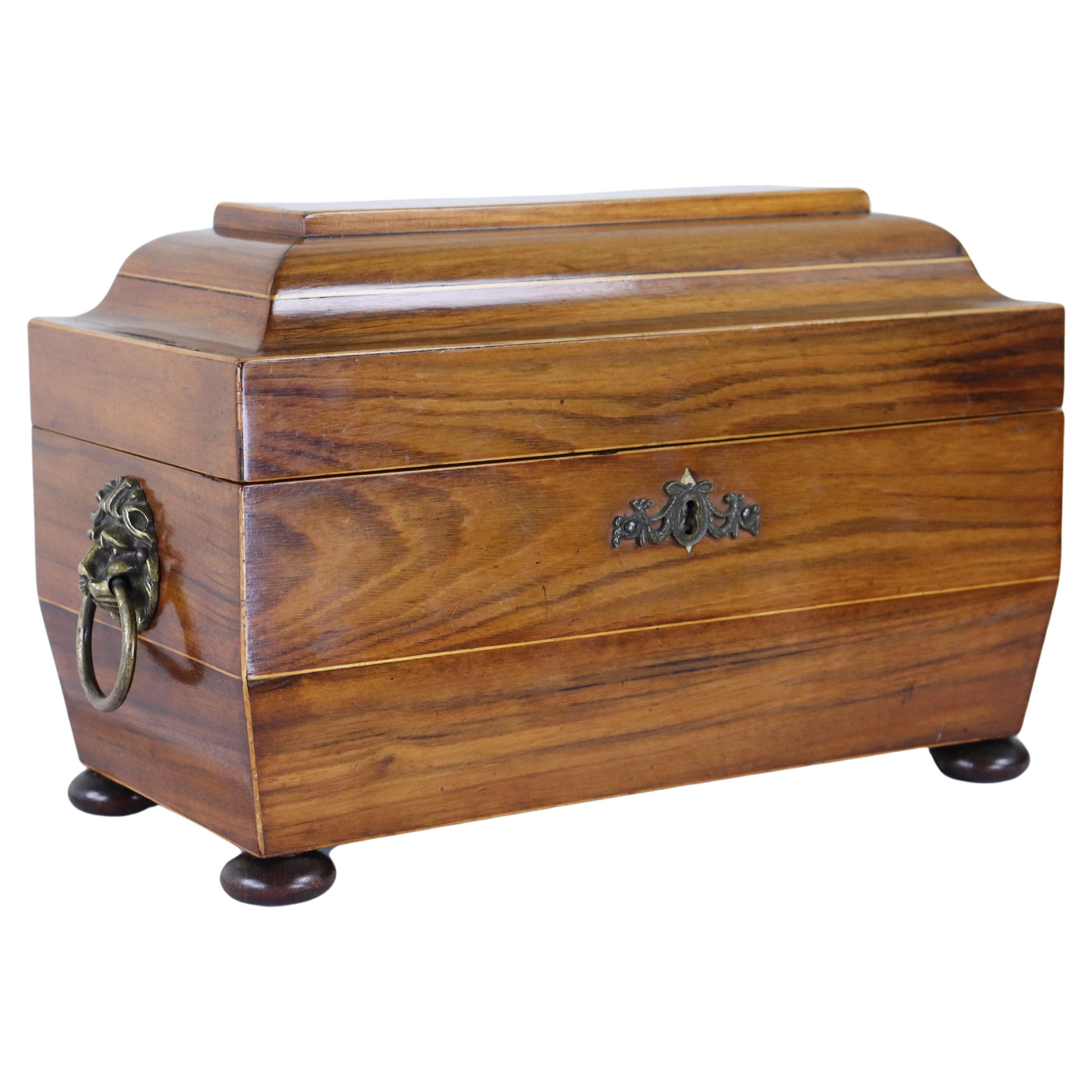 Large Double Tea Caddy in Mahogany, Satinwood Stringing For Sale