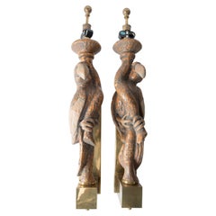 Large Dramatic Parrot Sconces