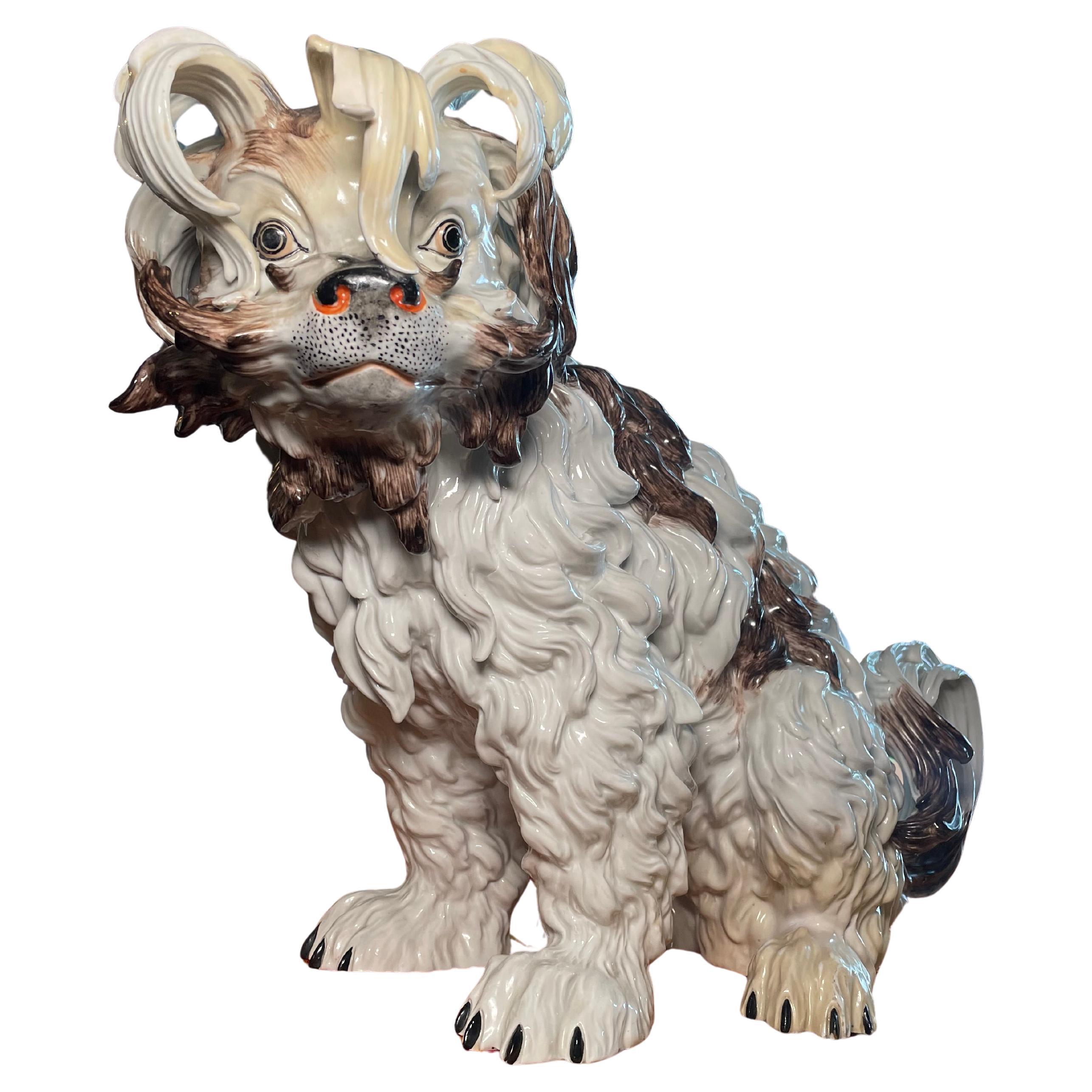 Perro Boloñés Grande de Dresden Porcelain en venta