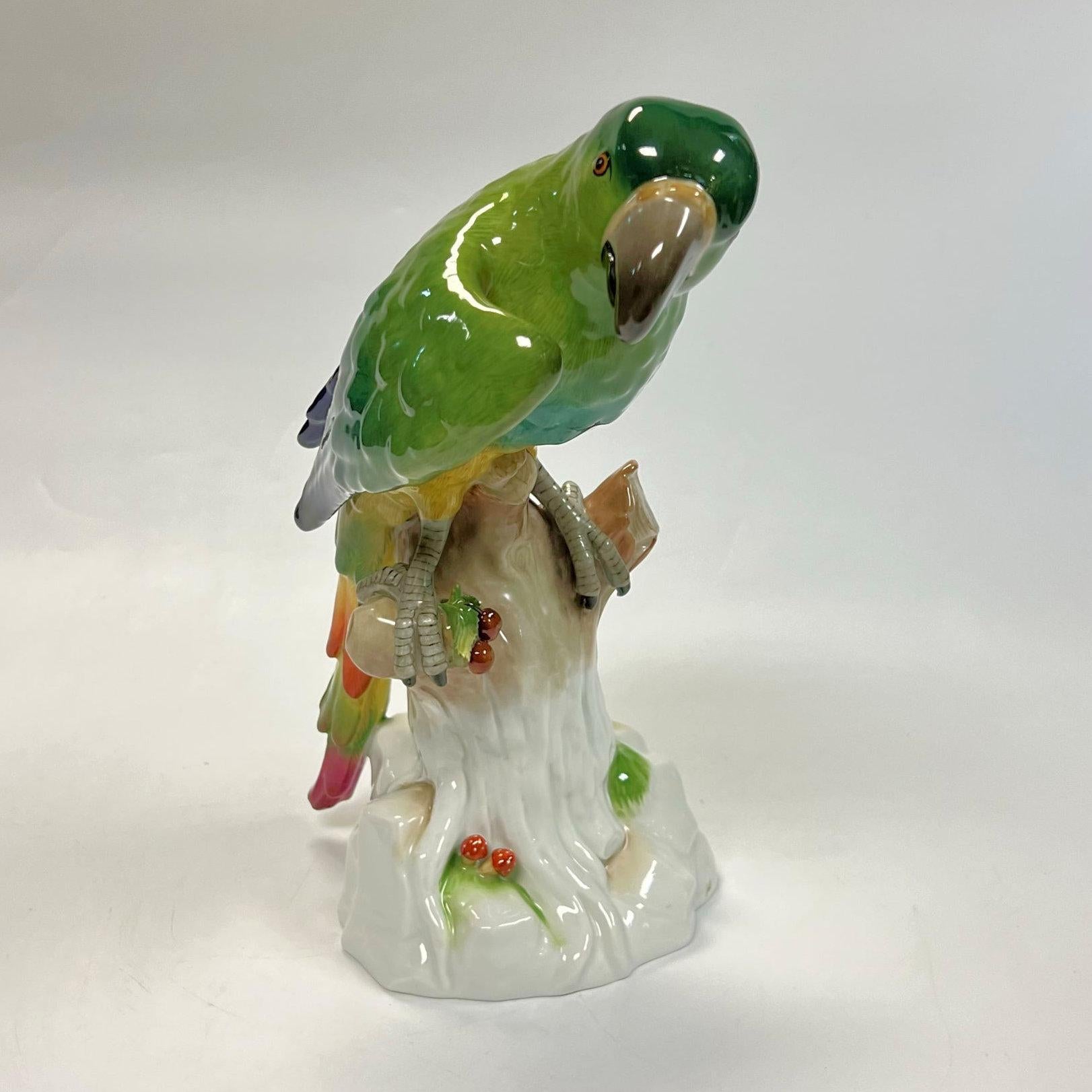 Grande Figurine Macaw en Dresden Porcelain 4