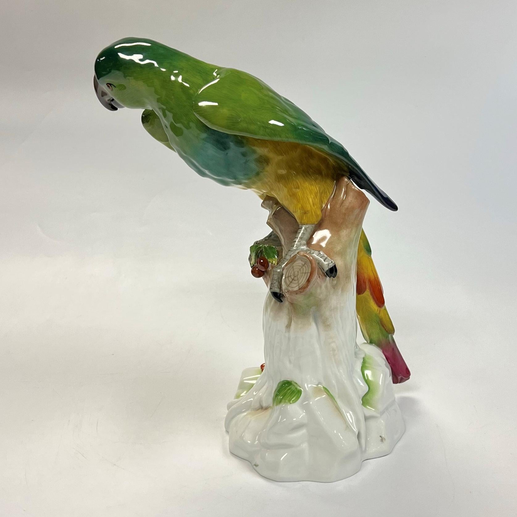 Large Dresden Porcelain Macaw Figurine For Sale 7
