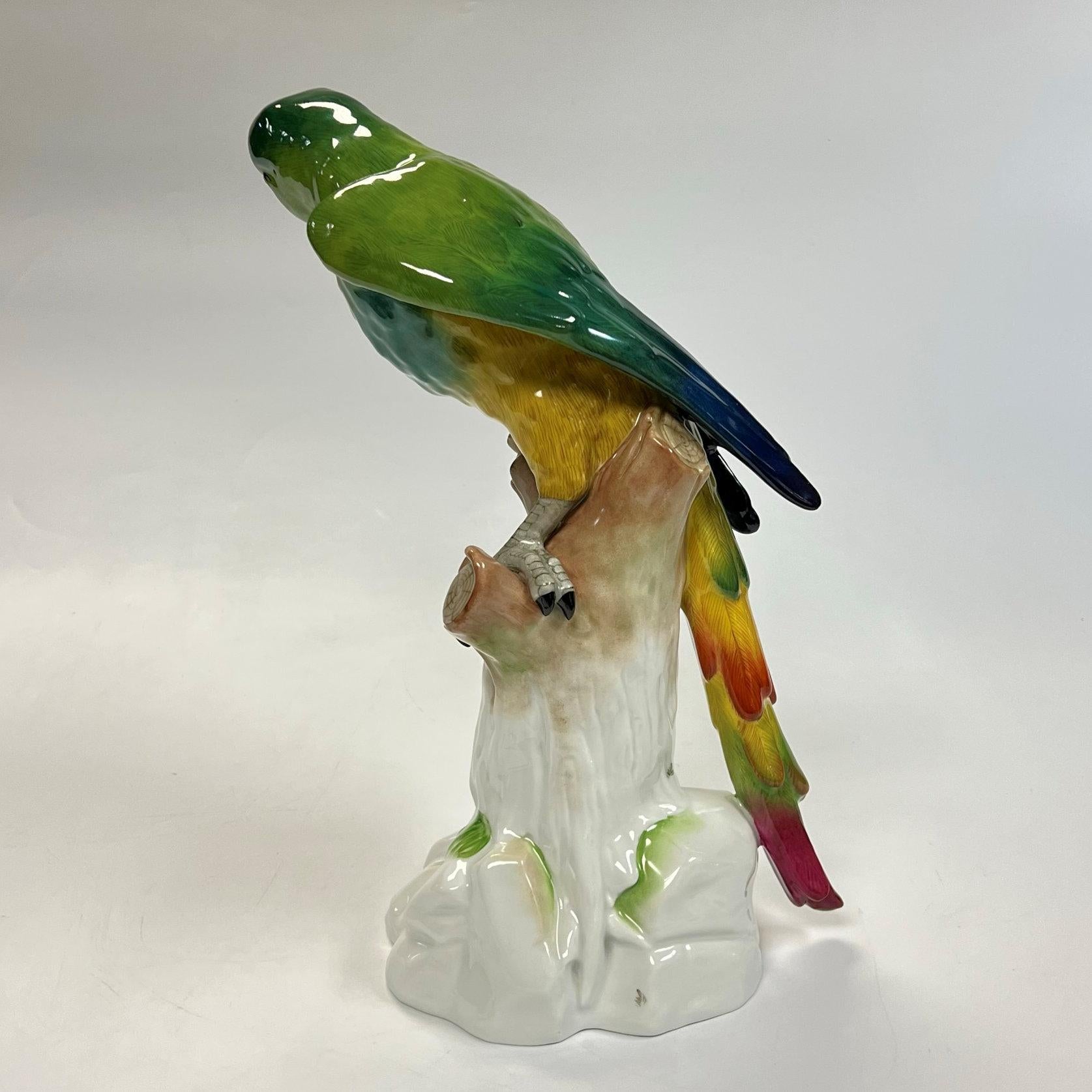Large Dresden Porcelain Macaw Figurine For Sale 8