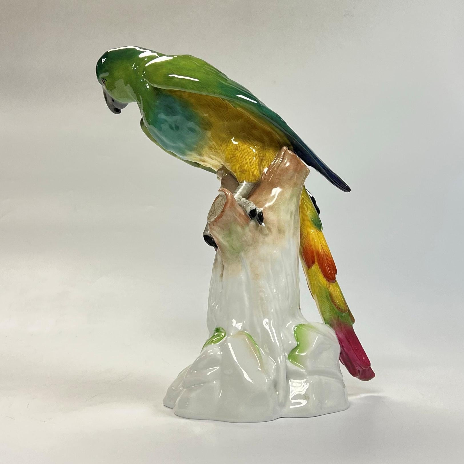 Large Dresden Porcelain Macaw Figurine For Sale 1