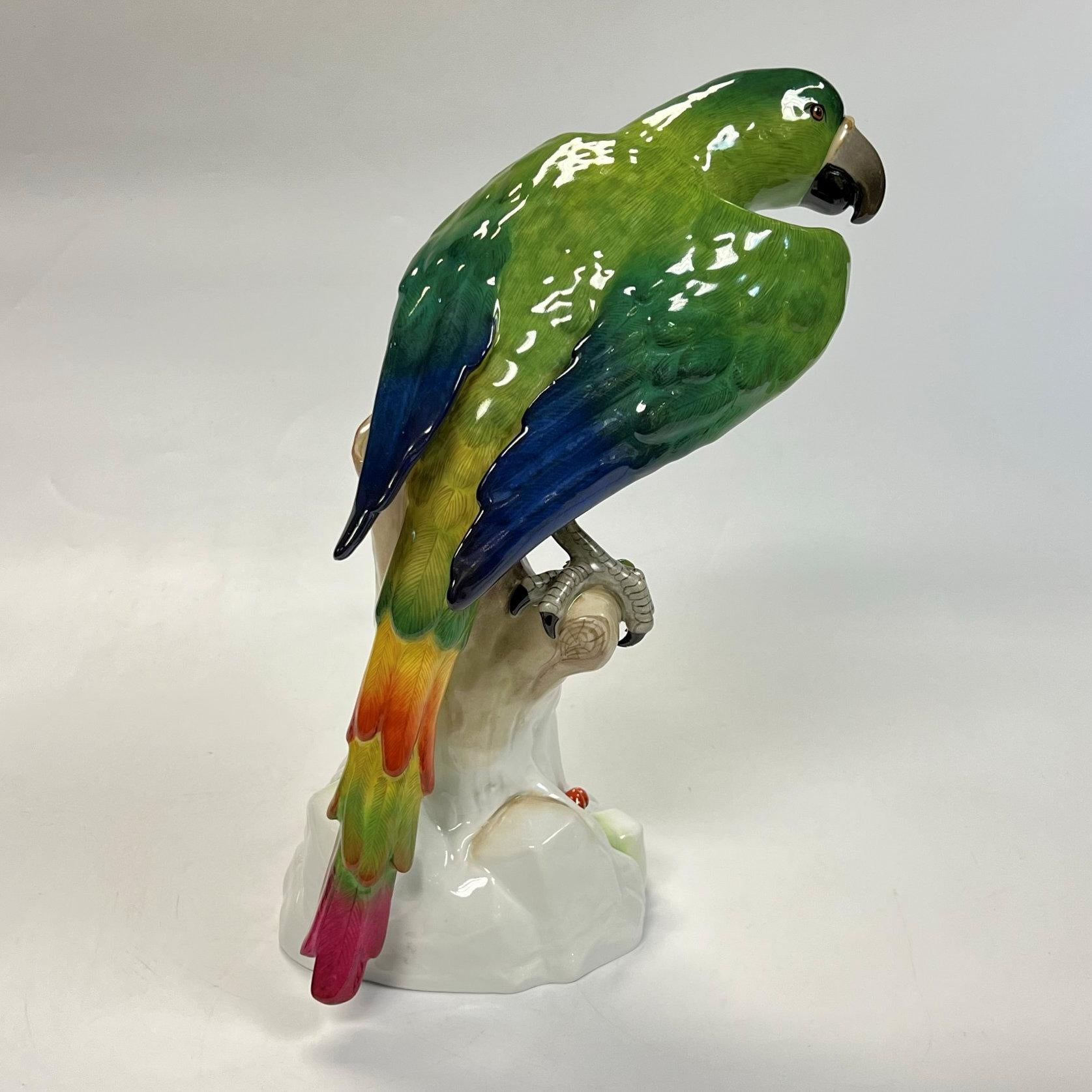 Large Dresden Porcelain Macaw Figurine For Sale 3