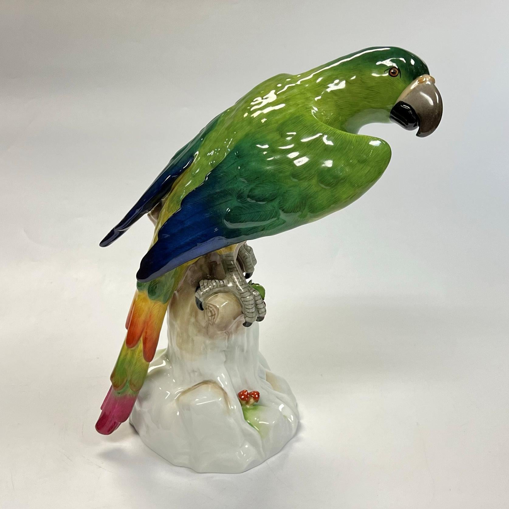 Grande Figurine Macaw en Dresden Porcelain 3