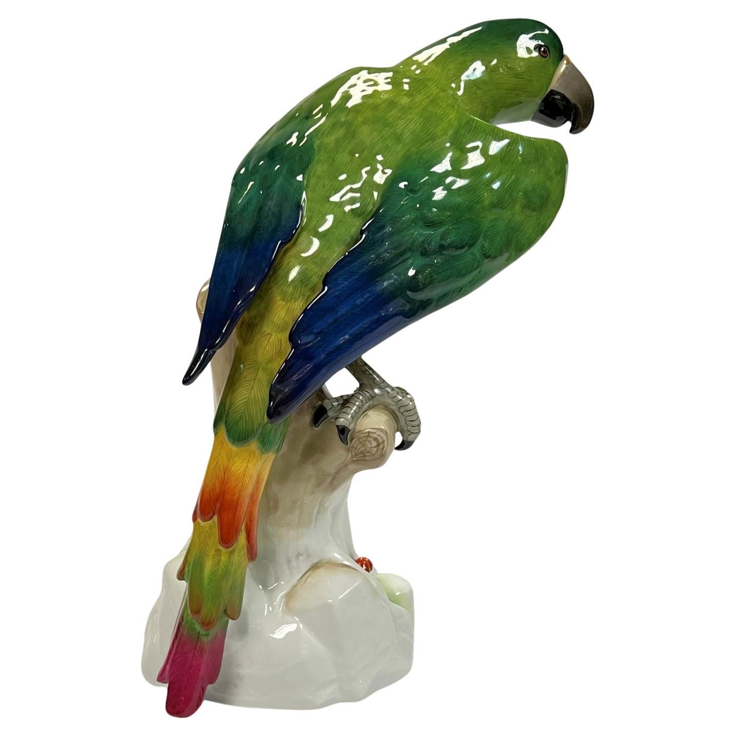 Grande Figurine Macaw en Dresden Porcelain