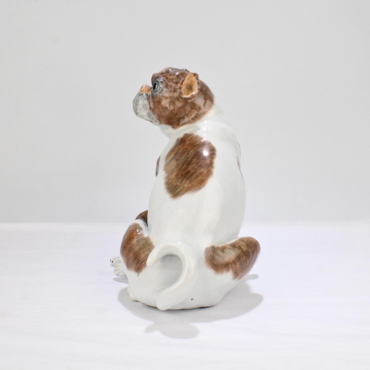 Large Dresden Porcelain Pug Dog Mother and Puppy Figurine or Model In Good Condition In Philadelphia, PA