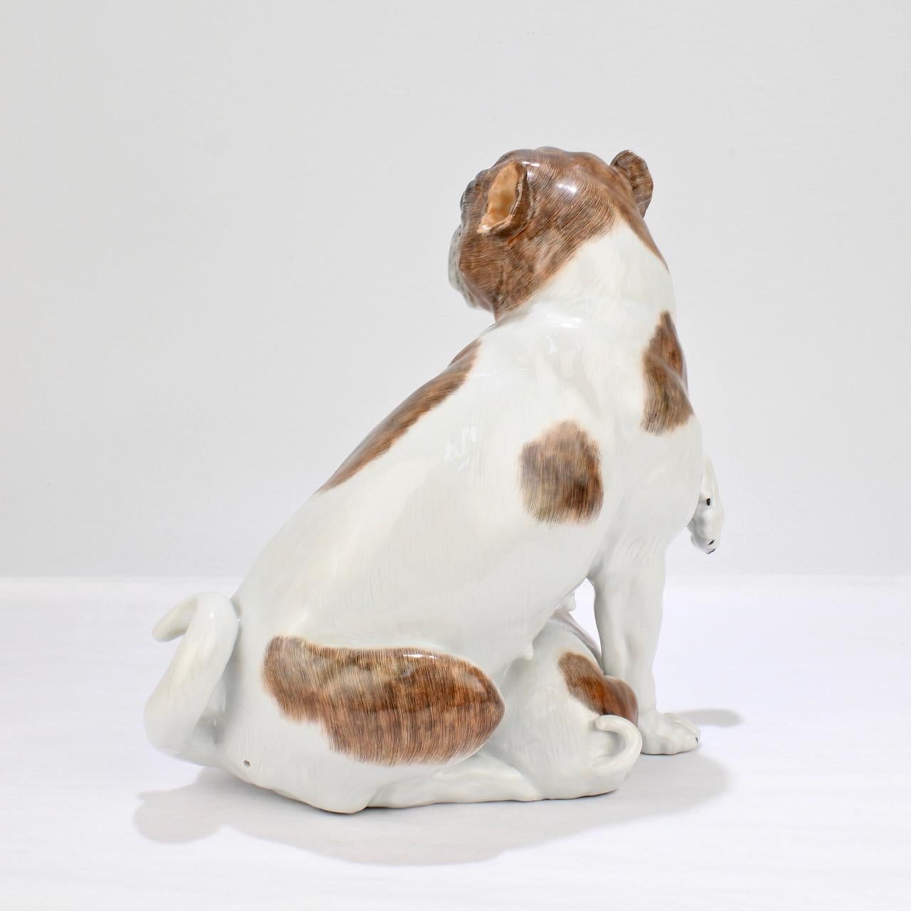 20th Century Large Dresden Porcelain Pug Dog Mother and Puppy Figurine or Model