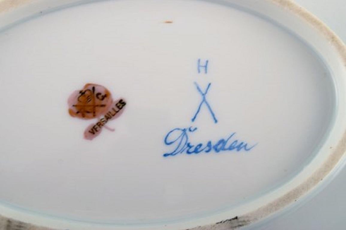 20th Century Large Dresden Serving Dish in Hand Painted Porcelain with Floral Motifs