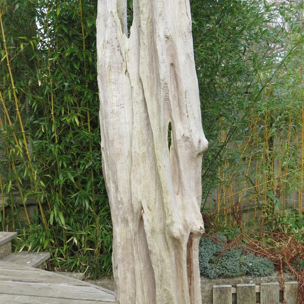 Grande sculpture brutaliste en bois flotté en vente 4
