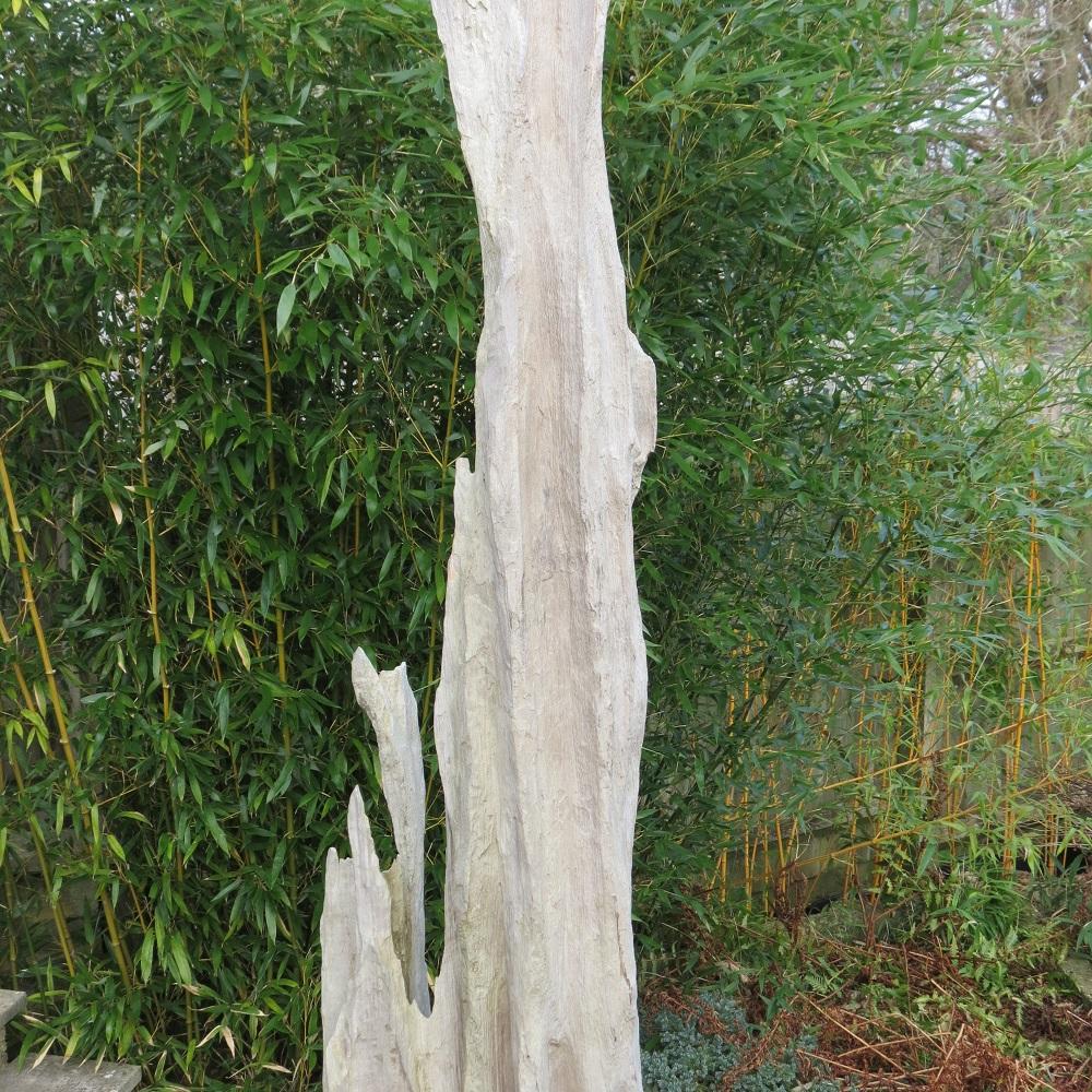 Large Drift Timber Wooden Brutalist Garden Sculpture 3