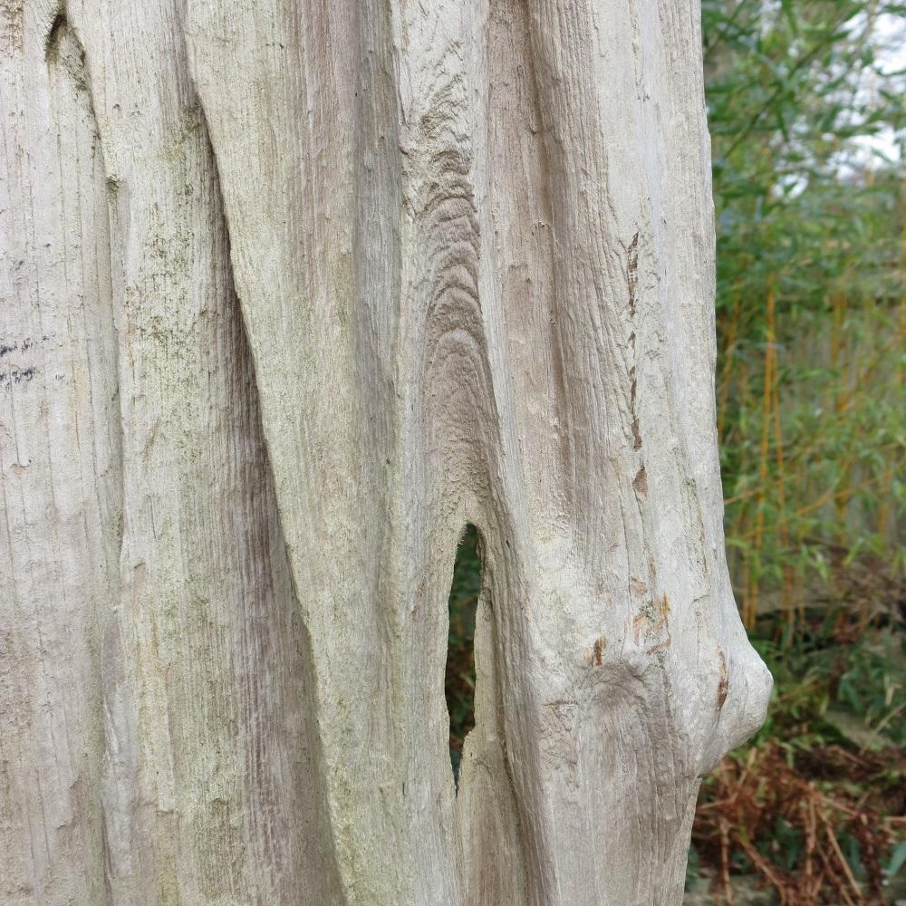 English Large Drift Timber Wooden Brutalist Garden Sculpture