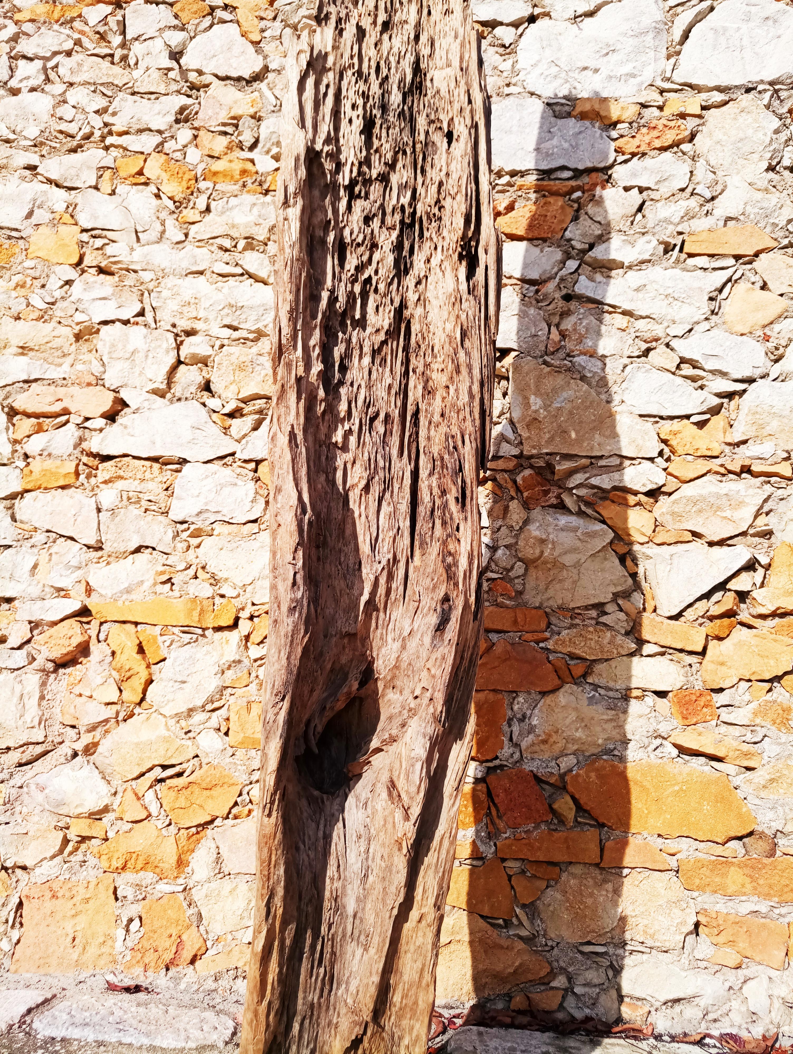 Grande scultura in legno driftwood, anni '70 in vendita 6