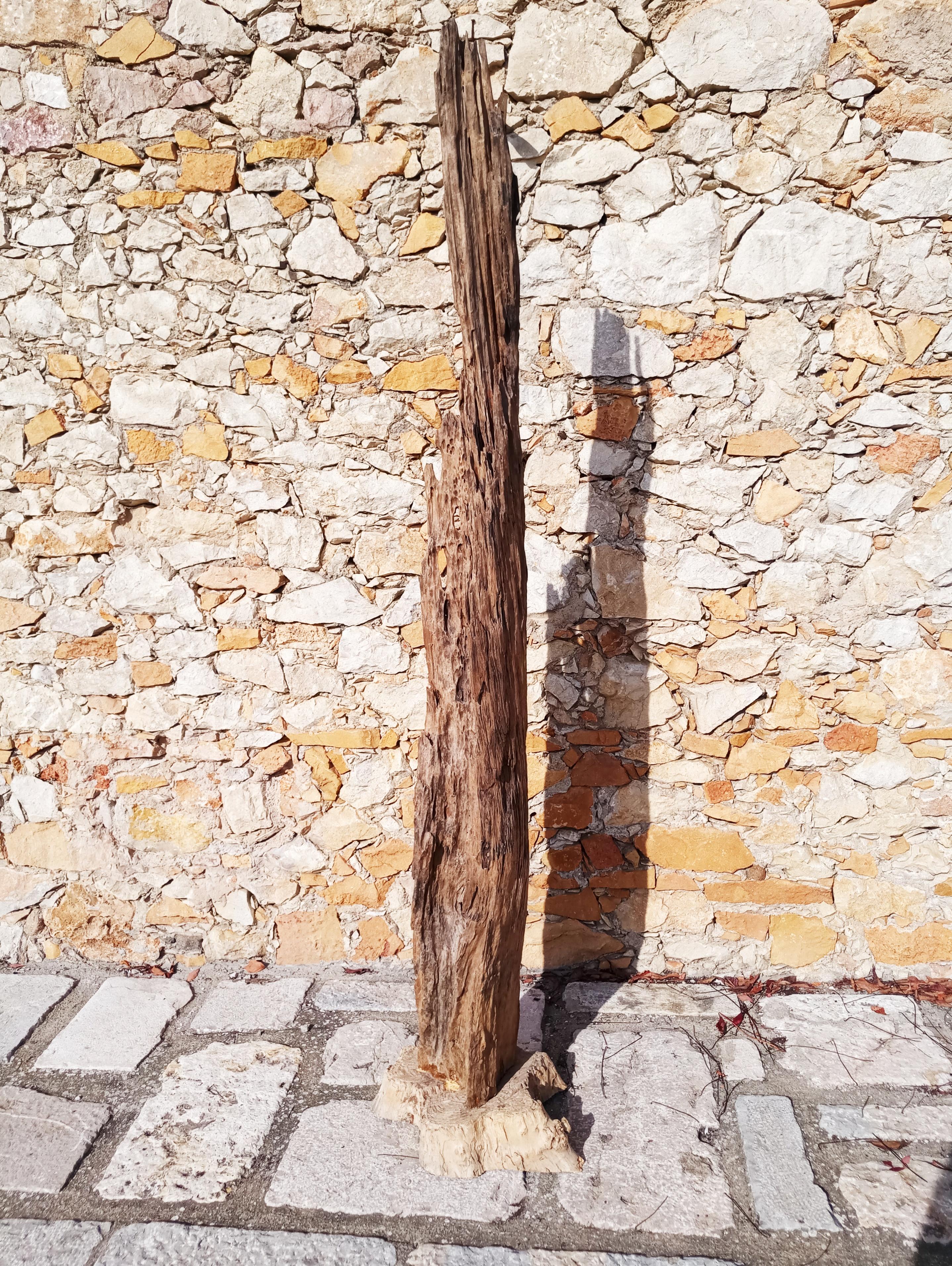 Grande scultura in legno driftwood, anni '70 In condizioni buone in vendita a L'Escala, ES