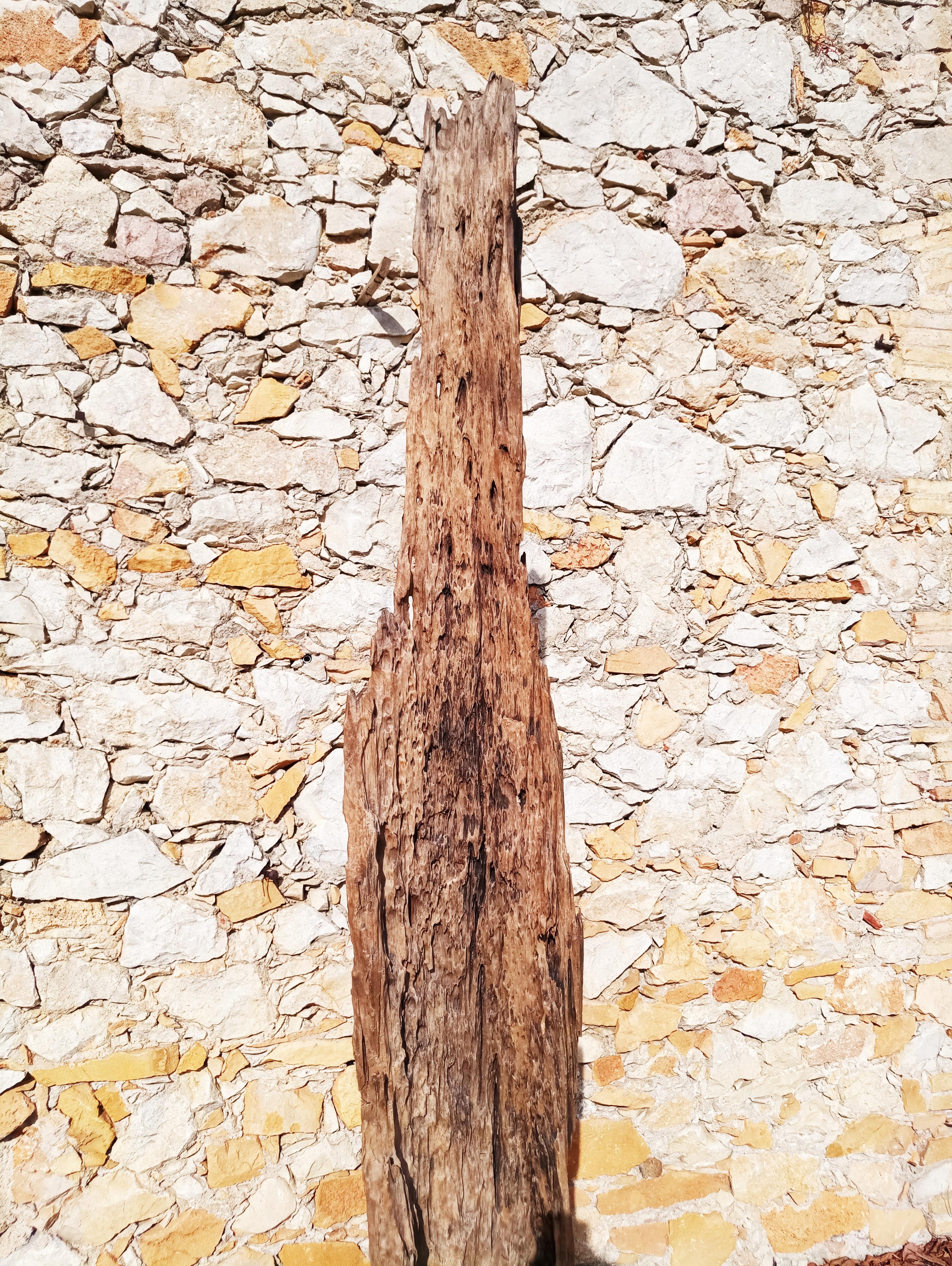 20th Century Large Driftwood Sculpture, 1970s For Sale
