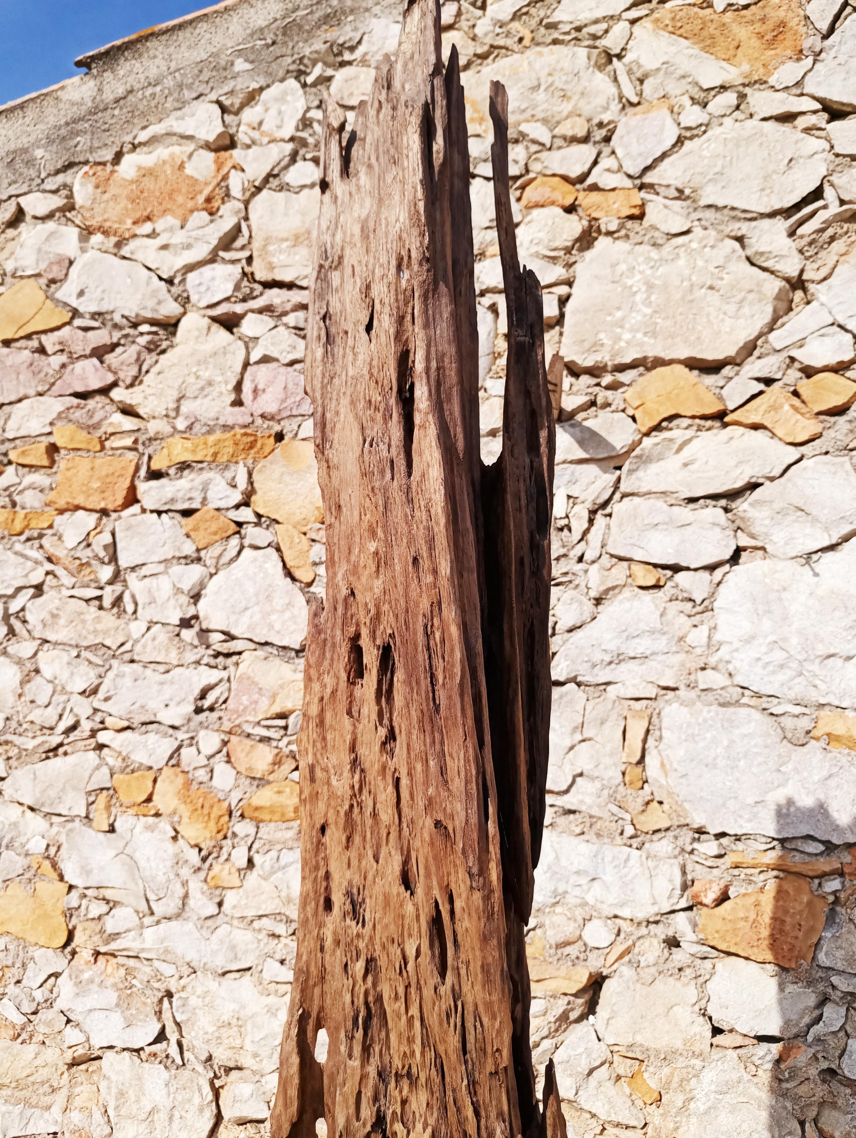 Grande scultura in legno driftwood, anni '70 in vendita 3