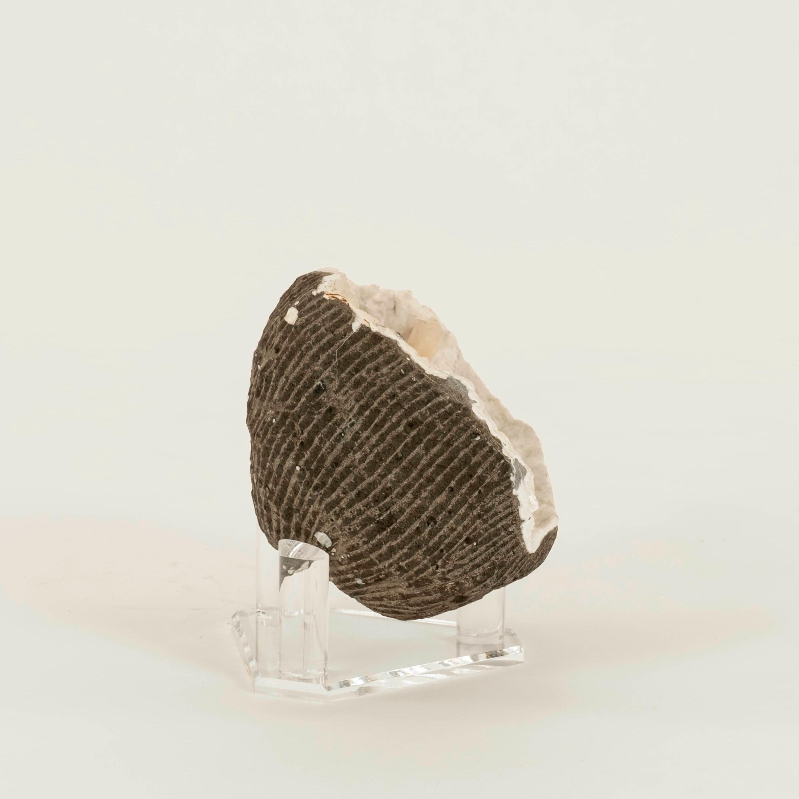 Grande Géode Druzy avec Apophyllite Rose Rouge Spécimen Minéral Neuf - En vente à Houston, TX