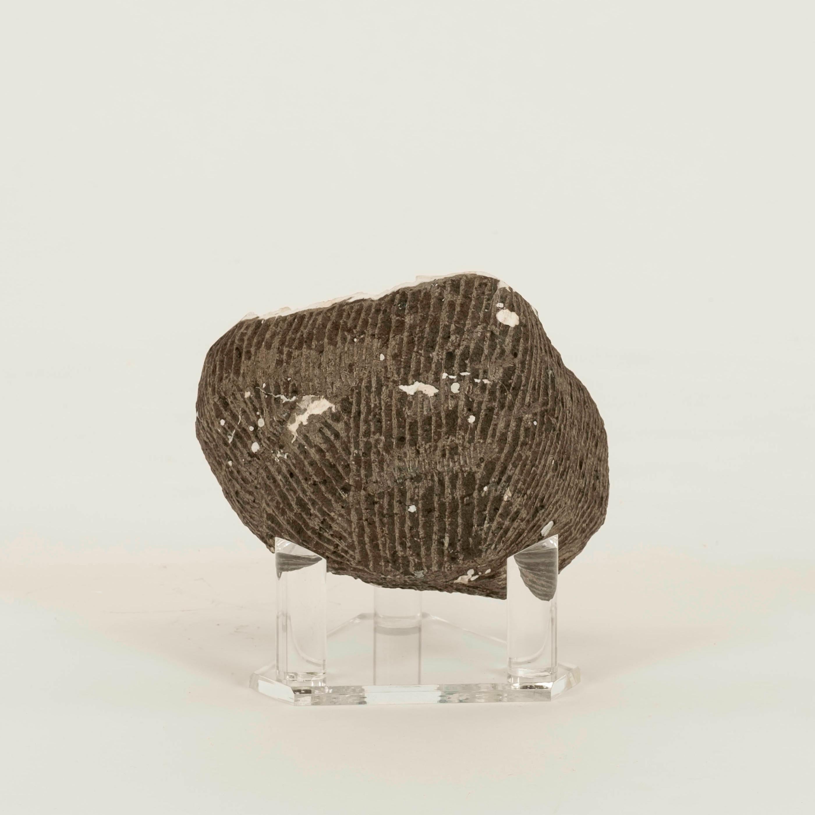 XXIe siècle et contemporain Grande Géode Druzy avec Apophyllite Rose Rouge Spécimen Minéral en vente