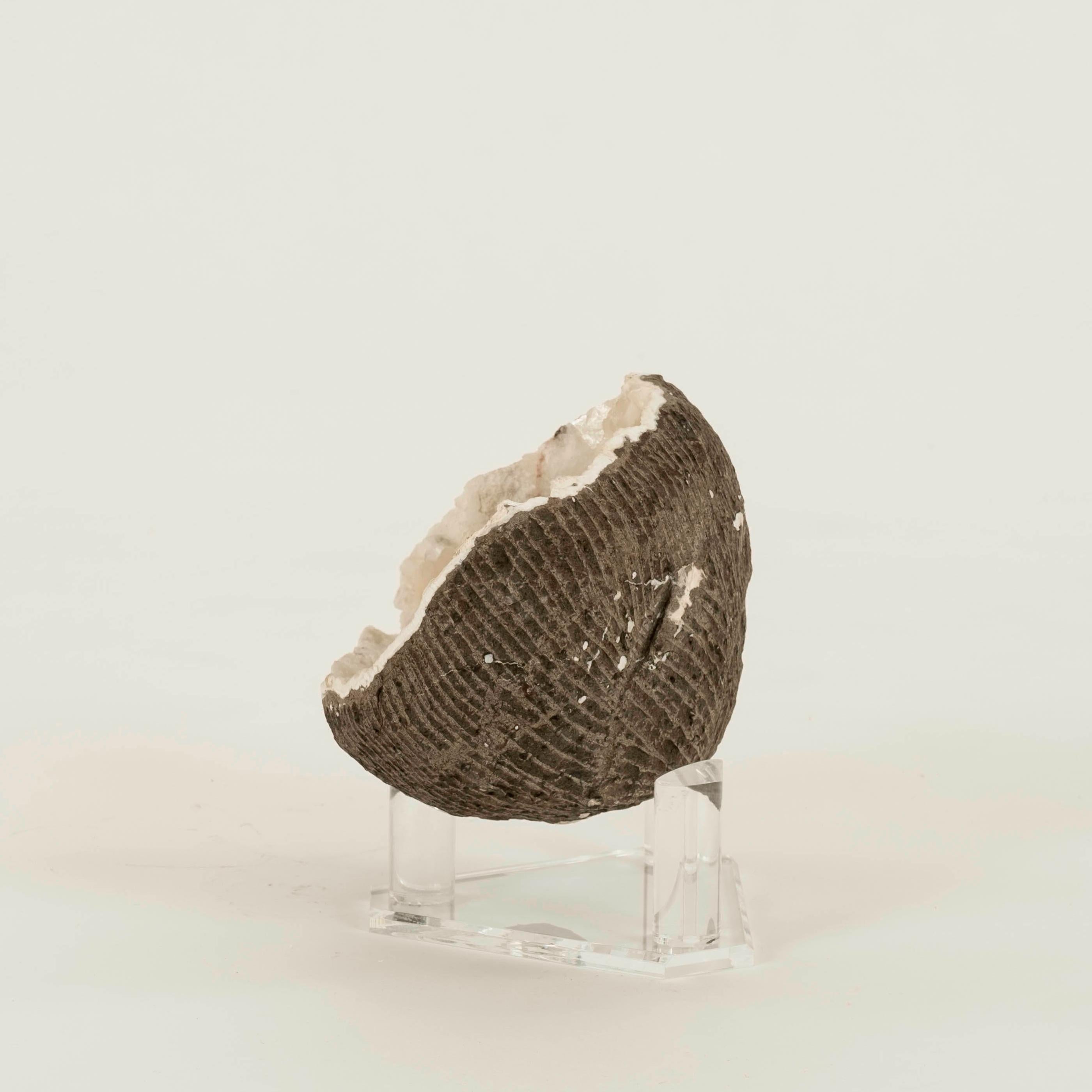 Pierre Grande Géode Druzy avec Apophyllite Rose Rouge Spécimen Minéral en vente