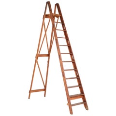 Large Dutch Pitch-Pine Painting or Library Ladder by De Krijger Amsterdam, 1930s