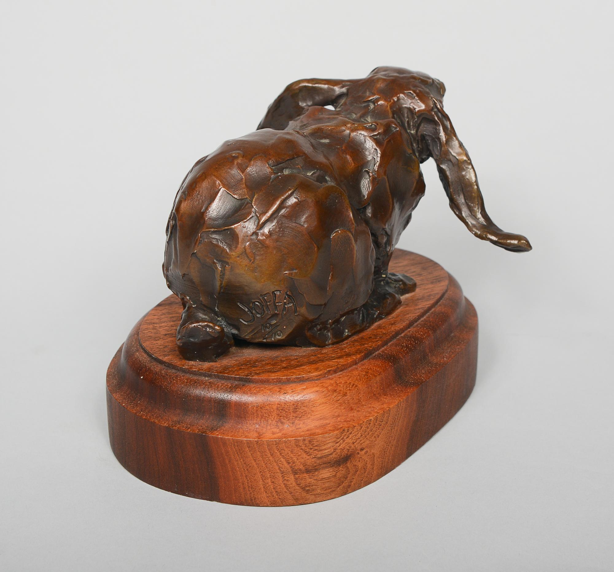American Large Eared Rabbit Bronze Sculpture by Joffa Kerr