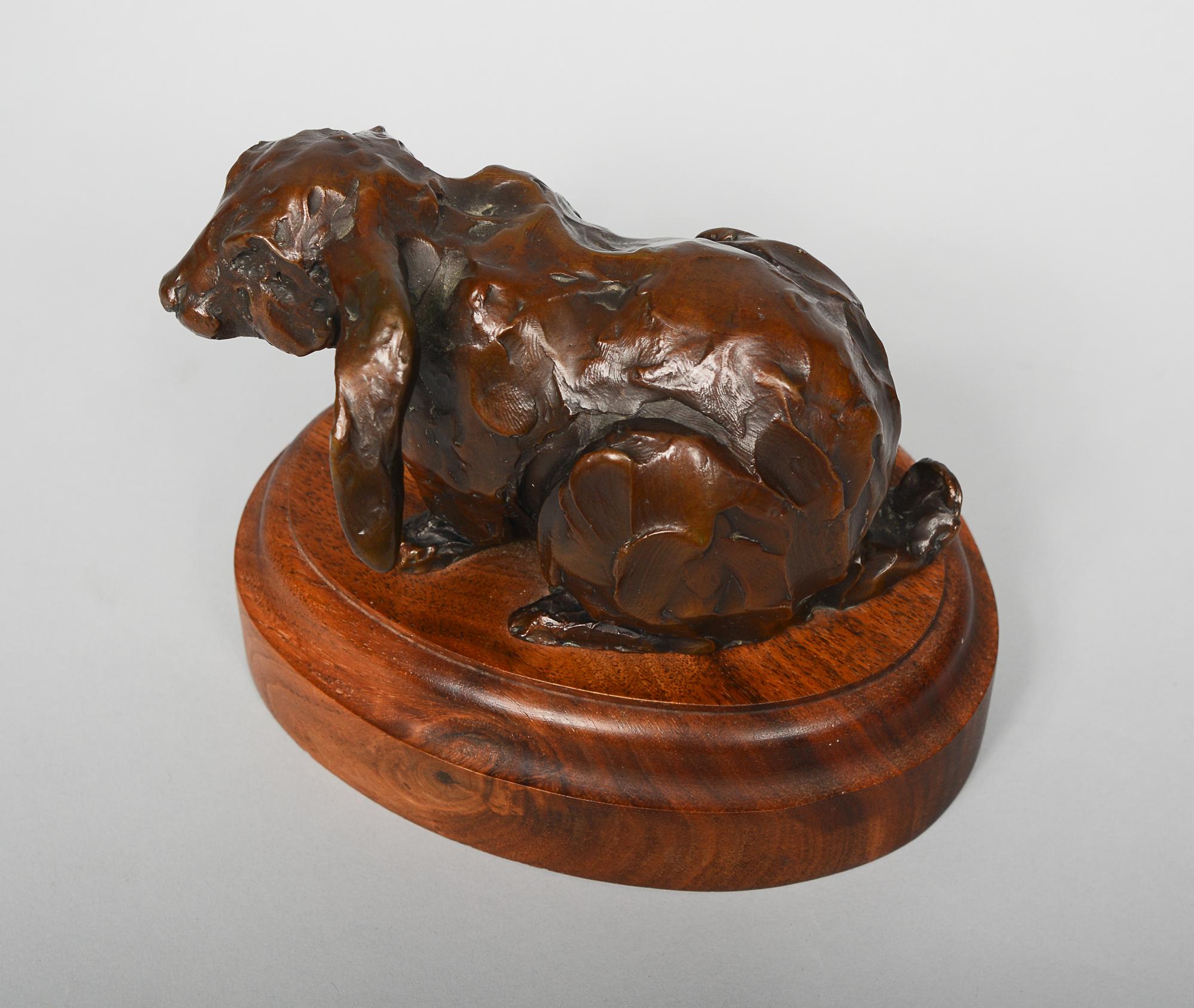 Large Eared Rabbit Bronze Sculpture by Joffa Kerr 3