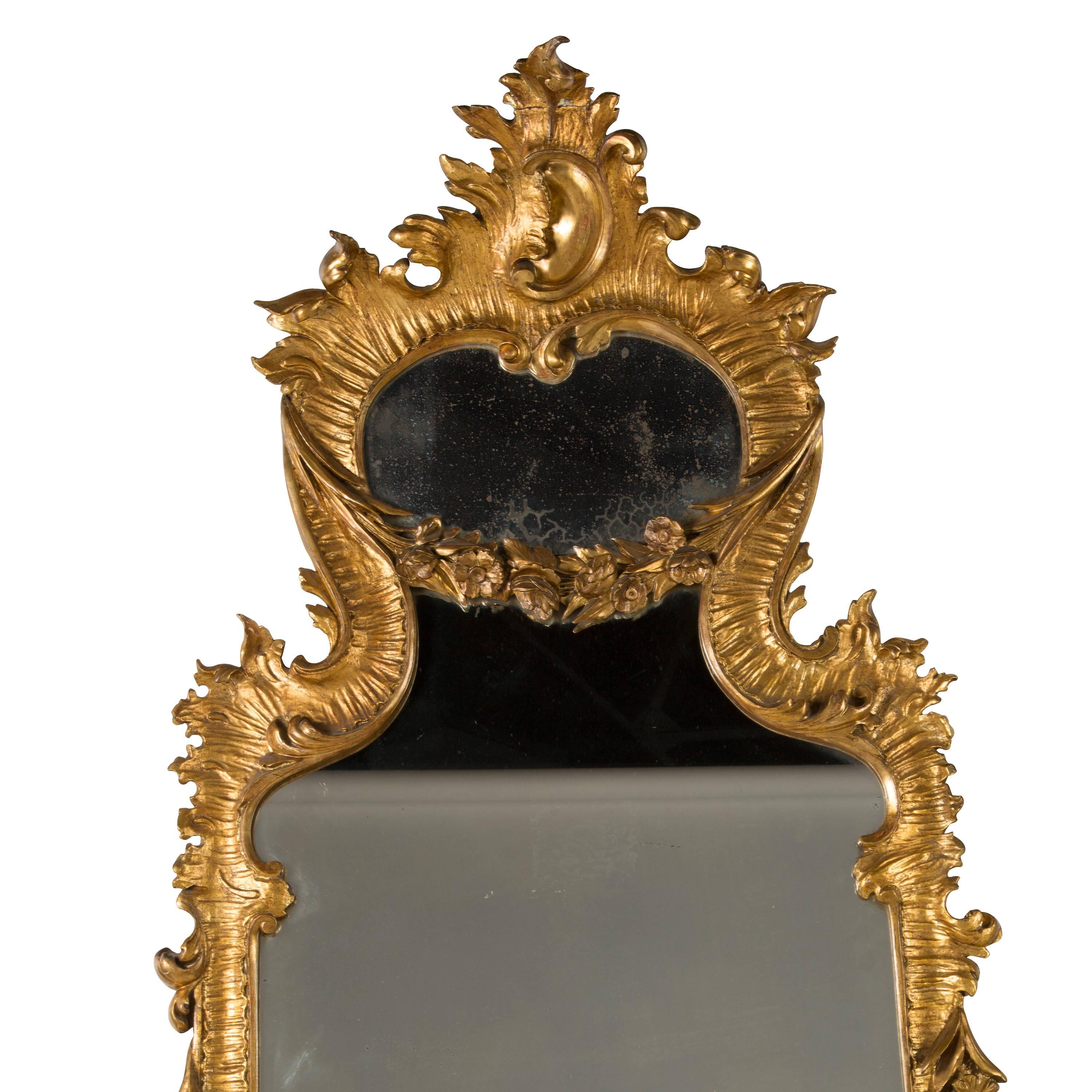 A stunning large early 19th century Italian carved wood and gilt mirror in rococo style, circa 1800-1820.